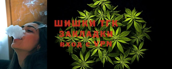гидра Вяземский