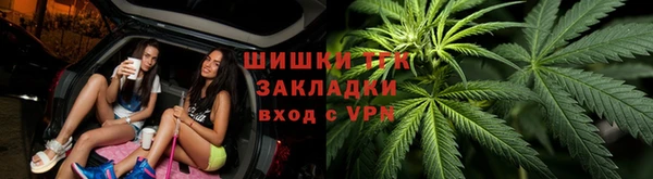 гидра Вяземский