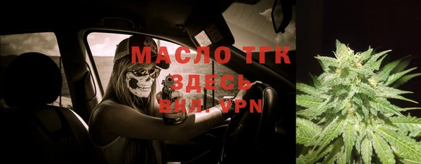 гидра Вяземский