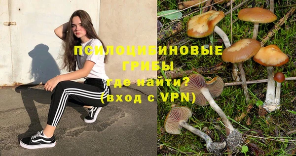 MESCALINE Вязники