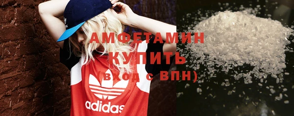 гидра Вяземский