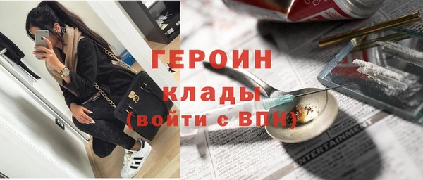гидра Вяземский