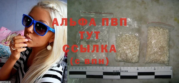 гидра Вяземский