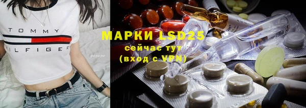 гидра Вяземский