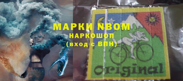 гидра Вяземский