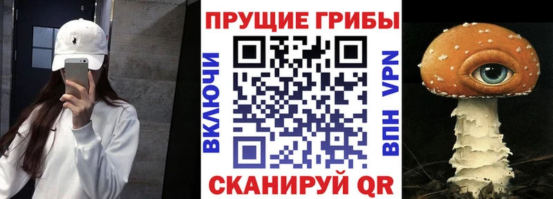 купить наркотик  Яранск  Галлюциногенные грибы ЛСД 